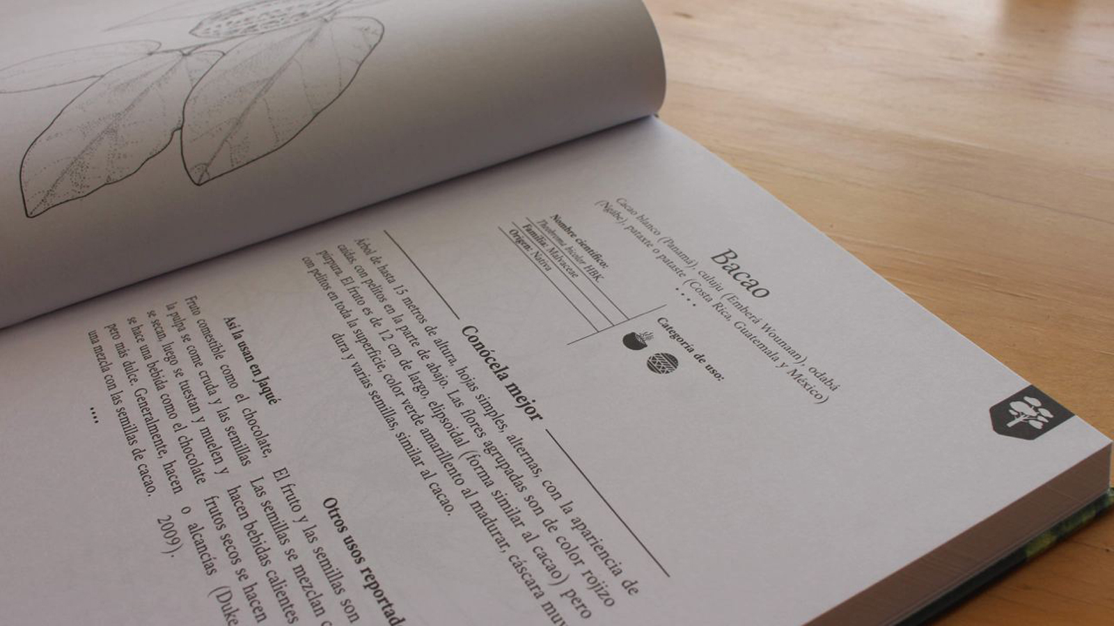 Jardines en Balsas - Vista 4